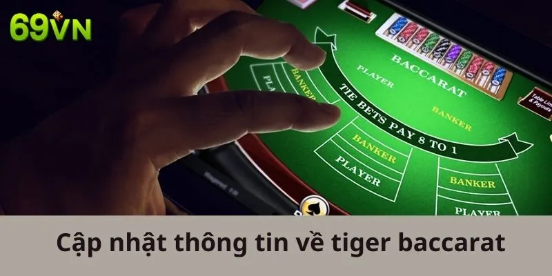 Cập nhật thông tin về Tiger Baccarat